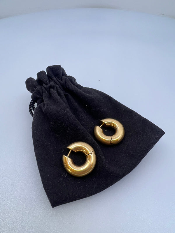 Anine Bing Gold Plated Hoop Earrings