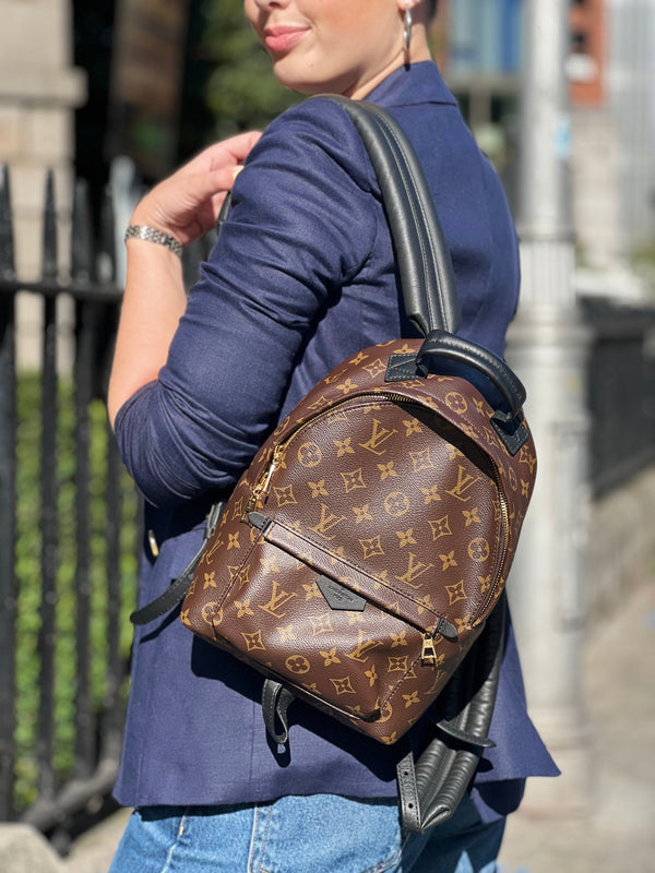 Louis Vuitton Monogram Canvas Palm Springs Backpack PM