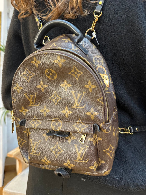 Louis Vuitton Monogram Canvas Palm Springs Mini  Backpack